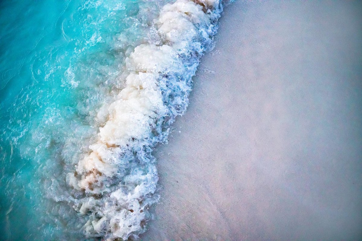 Elisa Terry (@elisaterry19) on Twitter photo Photography by Elisa Terry
elisaterry.art
instagram.com/elisaterry
elisaterrystudio@gmail.com
Prints / Photo Sessions / Commission Art
#elisaterryphotography #sonycamera #femalephotographer #womanphotographer #sigma #sigmalens #naturephotography #nature #ocean #sea Photography by Elisa Terry
elisaterry.art
instagram.com/elisaterry
elisaterrystudio@gmail.com
Prints / Photo Sessions / Commission Art
#elisaterryphotography #sonycamera #femalephotographer #womanphotographer #sigma #sigmalens #naturephotography #nature #ocean #sea