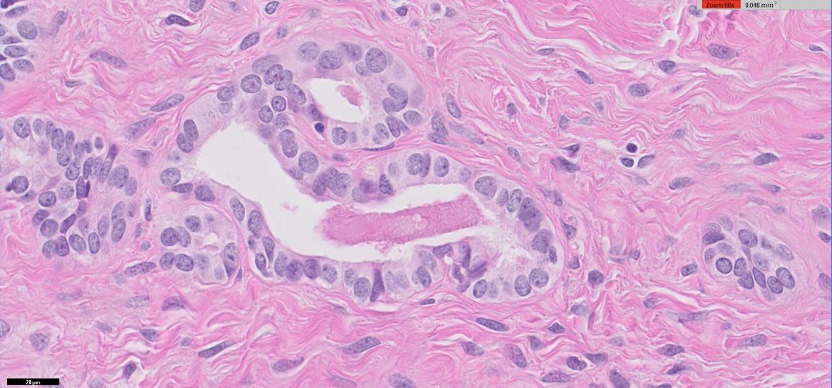 OhioStatePath's tweet photo. #pathnewbies #pathresidents
What do you ๐?
#PathTwitter https://t.co/c620KfClL3