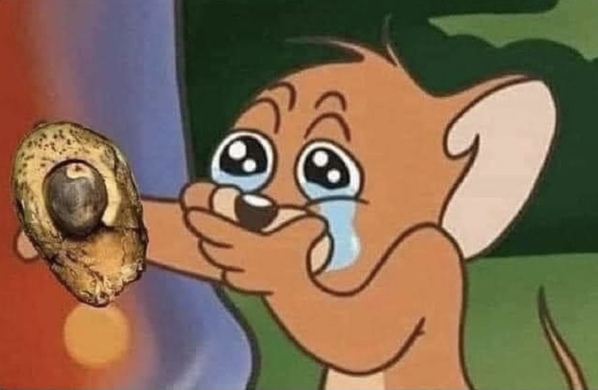 Guarromantico_'s tweet photo. Cuando escondes el aguacate para que nadie se lo coma y se te olvida. https://t.co/jaly45cxvU