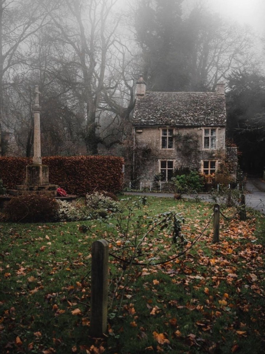 Love to go into the mist…