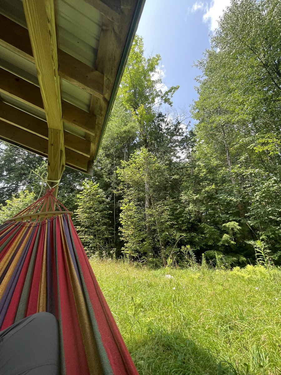 elllina's tweet photo. In my hammock in Maine, I’m celebrating 20 years of leaving my motherland for London. Live is good when you are free from crazy countries you happen to be born in https://t.co/SfdgwkfQZR