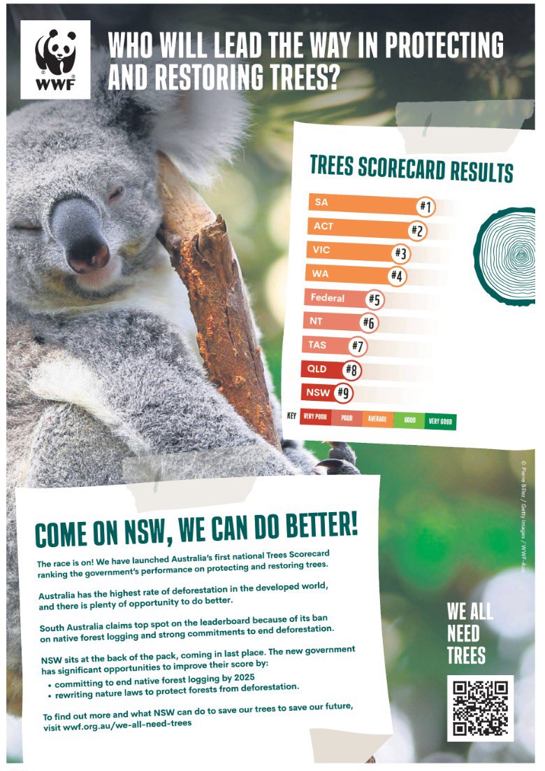 Michael Regan MP (@michaelreganmp) on Twitter photo NSW is ranked dead last in <a href="/WWF_Australia/">WWF_Australia</a>’s Tree Scorecard.
We can & must do better!
If we want koalas in the wild in NSW we need to follow Victoria & WA & end native forest logging whilst supporting communities to transition to a sustainable plantation based sector.
#nswpol NSW is ranked dead last in <a href="/WWF_Australia/">WWF_Australia</a>’s Tree Scorecard.
We can & must do better!
If we want koalas in the wild in NSW we need to follow Victoria & WA & end native forest logging whilst supporting communities to transition to a sustainable plantation based sector.
#nswpol