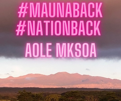 KealaKelly's tweet photo. End the desecration of #MaunaKea forever. Oppose everything the "state" does to lull Hawaiians back into a coma while its newly grown internal organ, the Mauna Kea Stewardship Oversight Authority plans for a new lease. MKSOA wants to be the new Master of our mauna. #MaunaBack https://t.co/MrR2Qn9f1b