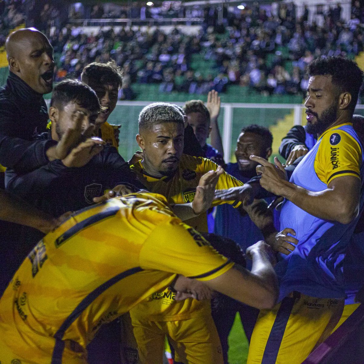 oficialamfc's tweet photo. Comemora, @ViniLocatelli98 ! Foi teu primeiro gol com o manto aurinegro. ⚽👊🏼

📷 Darosaa

#VamosAmazonas https://t.co/2jHQcd4iSt