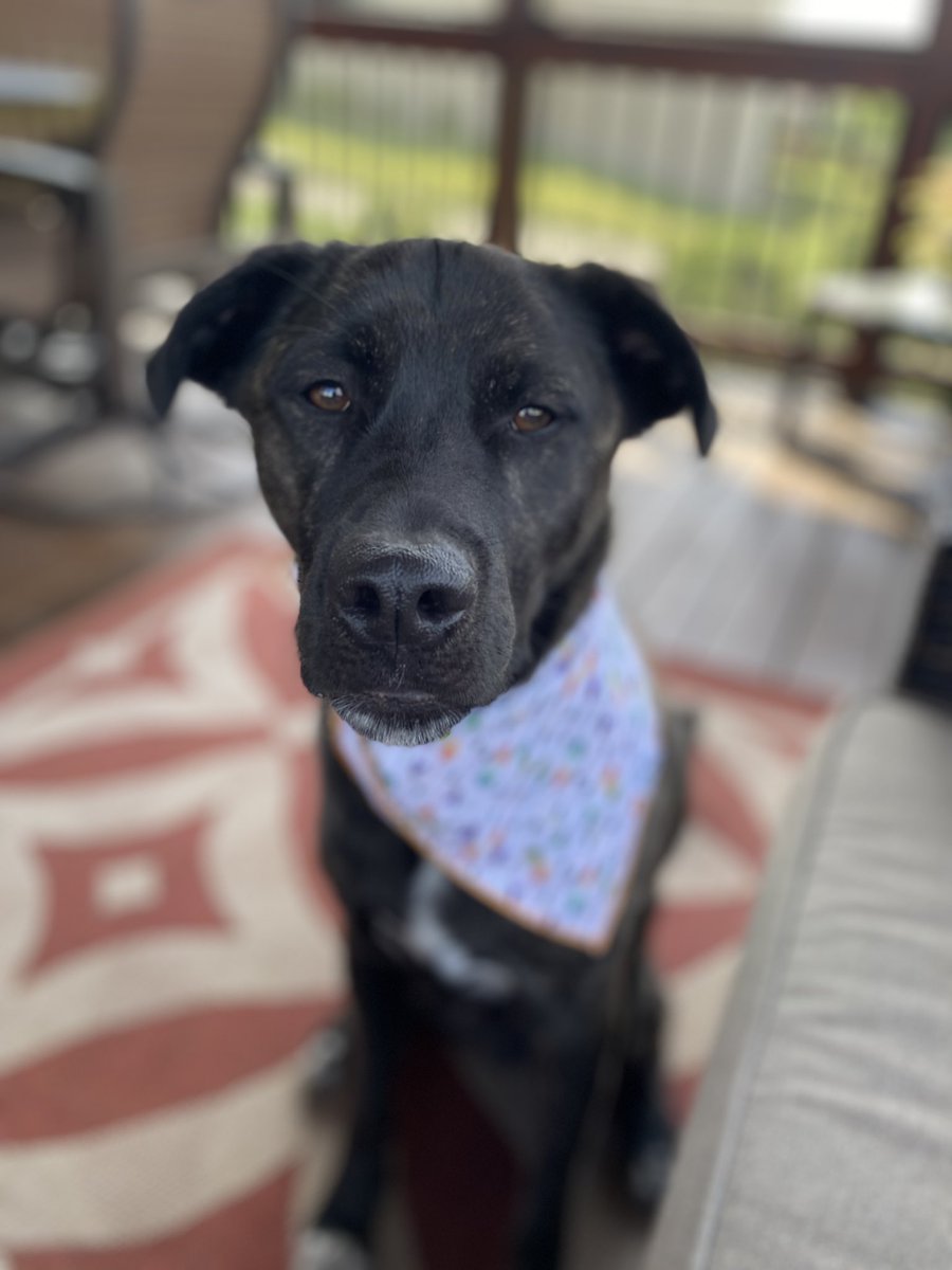 d. tucker tweet media