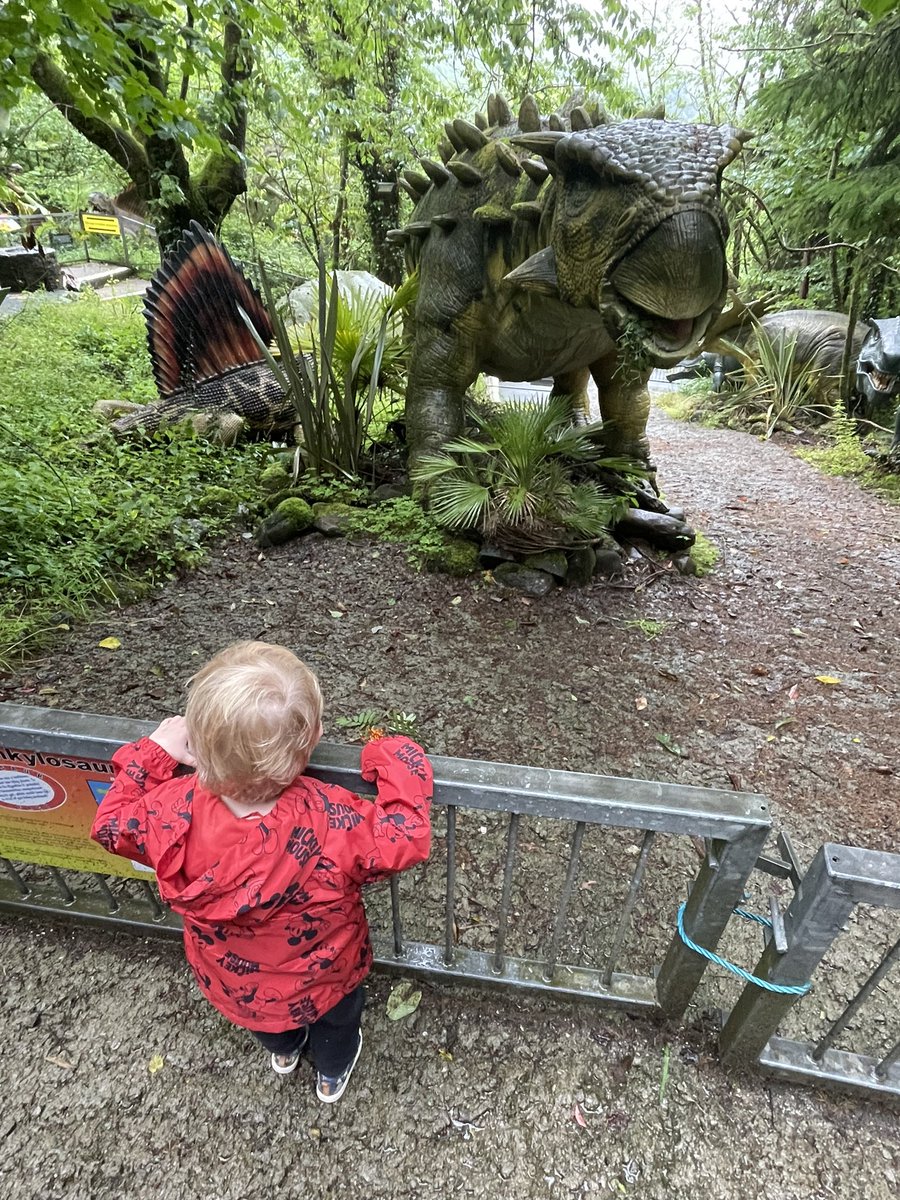 Rarham's tweet image. 39.

Dinosaurs and caves.