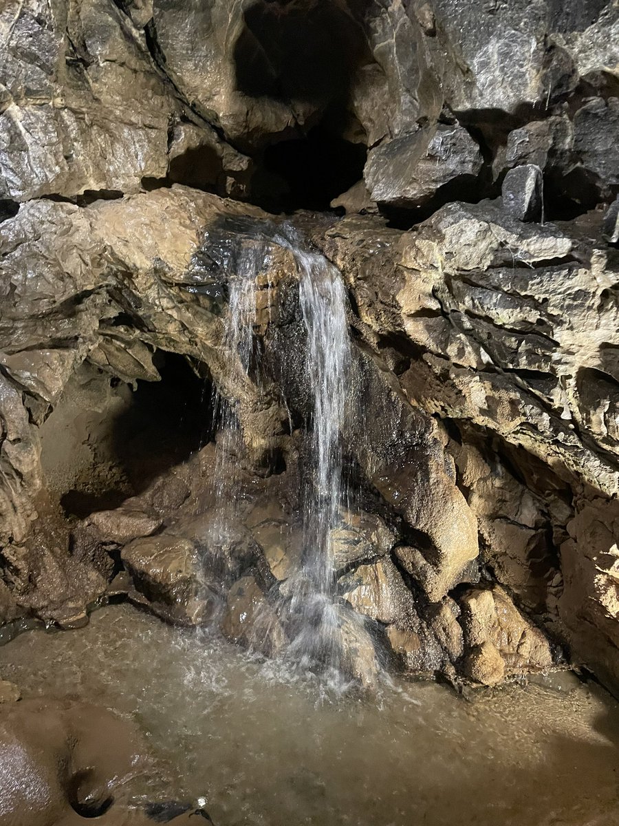 Rarham's tweet image. 39.

Dinosaurs and caves.