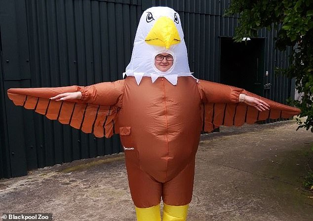 happyeggshaped's tweet photo. 💥NEWSFLASH💥

@Scotlandteam have asked that 'Steve the Seagull is INNOCENT' protestors are considerate at  Murrayfield on Sat.

Fans MUST be able to access the stadium via the turnstiles &amp; should be mindful of those sitting behind them.

Happiness is Steve Shaped

#LetStevePlay https://t.co/4KIZ5hMS77