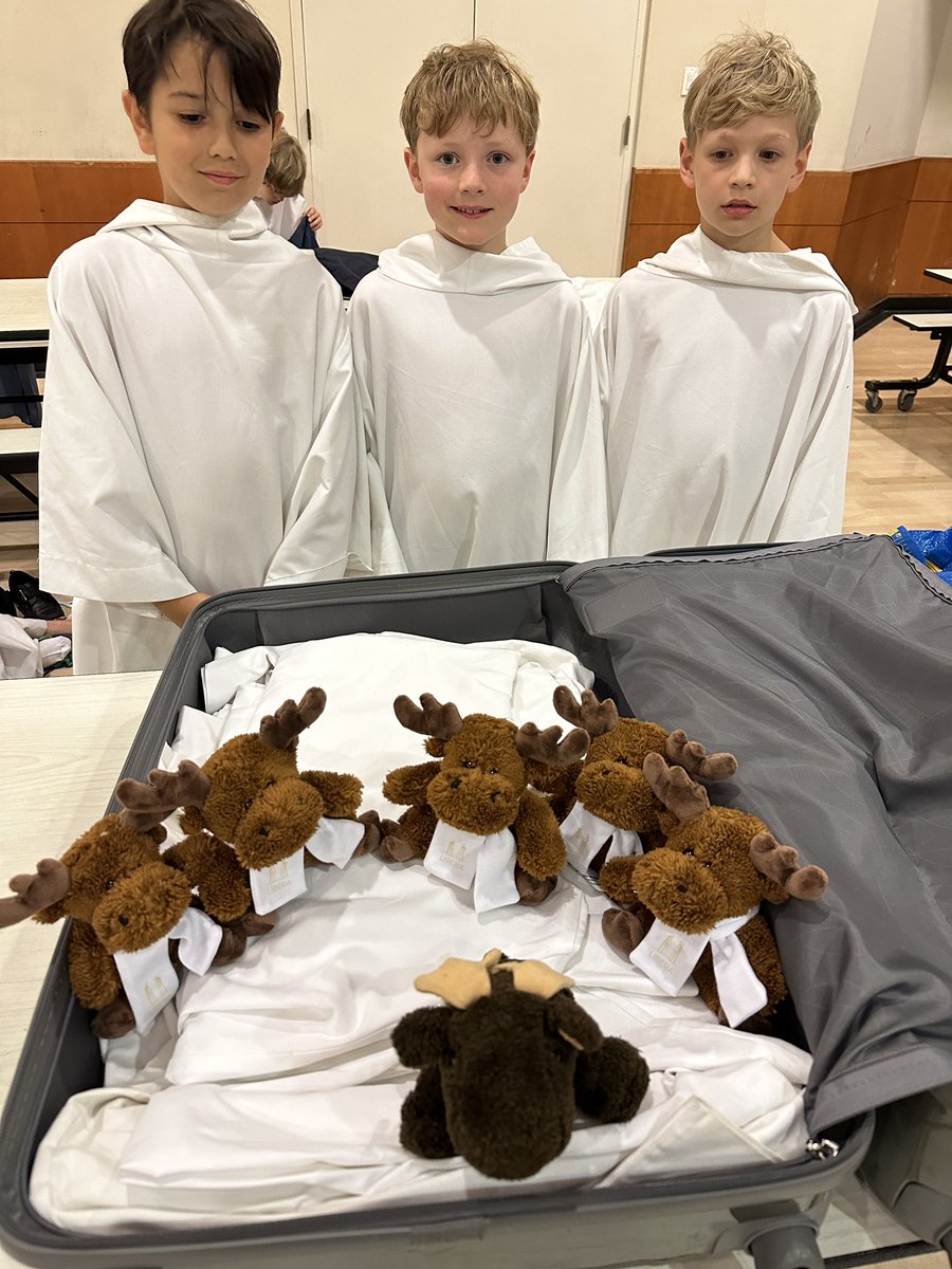 Libera Moose tweet media