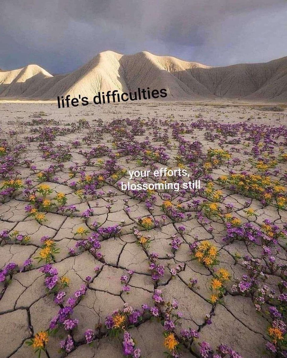 soup girl (@jasminericegirl) on Twitter photo 