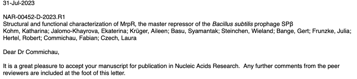 CommichauM's tweet photo. Finally, we made it! It was a fantastic collaboration with @FrunzkeLab @lauraoh1231 and @BangeBalcony.
Proposed 25 years ago, now confirmed: MrpR acts as a master repressor of the Bacillus subtilis prophage SPb by binding to SPBR elements.
@NAR_Open #moty #SPbeta #subtilis https://t.co/7rywP3VJBf