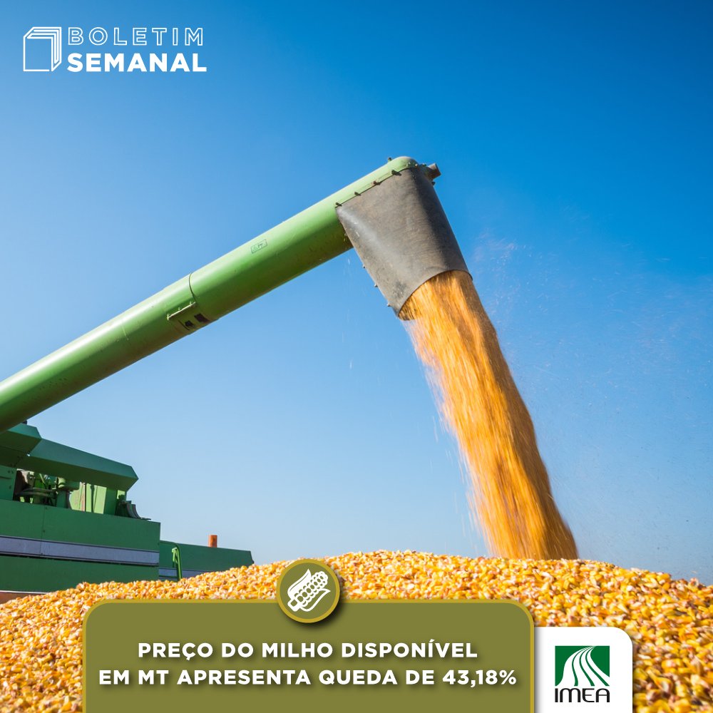Devido ao aumento da disponibilidade de milho no mercado interno, do déficit de armazenagem e da perspectiva de uma produção 14,39% maior que na safra 21/22, o preço do milho em Mato Grosso vem exibindo fortes quedas desde o início de 2023. +