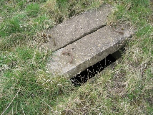 Newark Air Museum tweet media