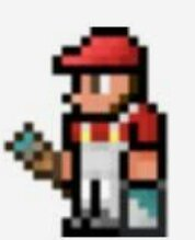 xfbrim1's tweet photo. @Kid_Cat64 @rTerraria https://t.co/SAW2Hdpw4E