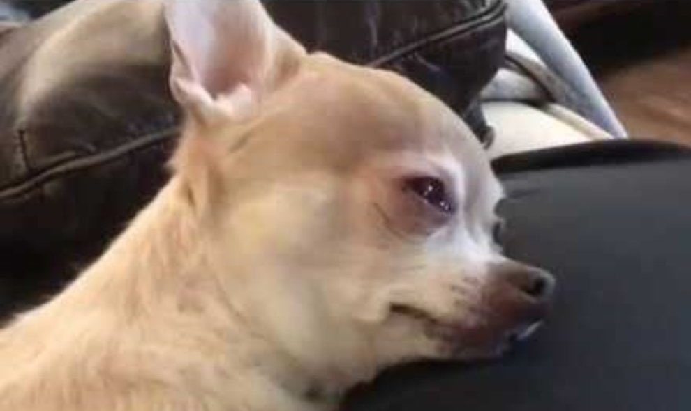 Drebae_'s tweet photo. Finding out Angus Cloud passed away at only 25 is genuinely so sad. Nobody talk to me for the rest of the day https://t.co/ZE3VttBSNw