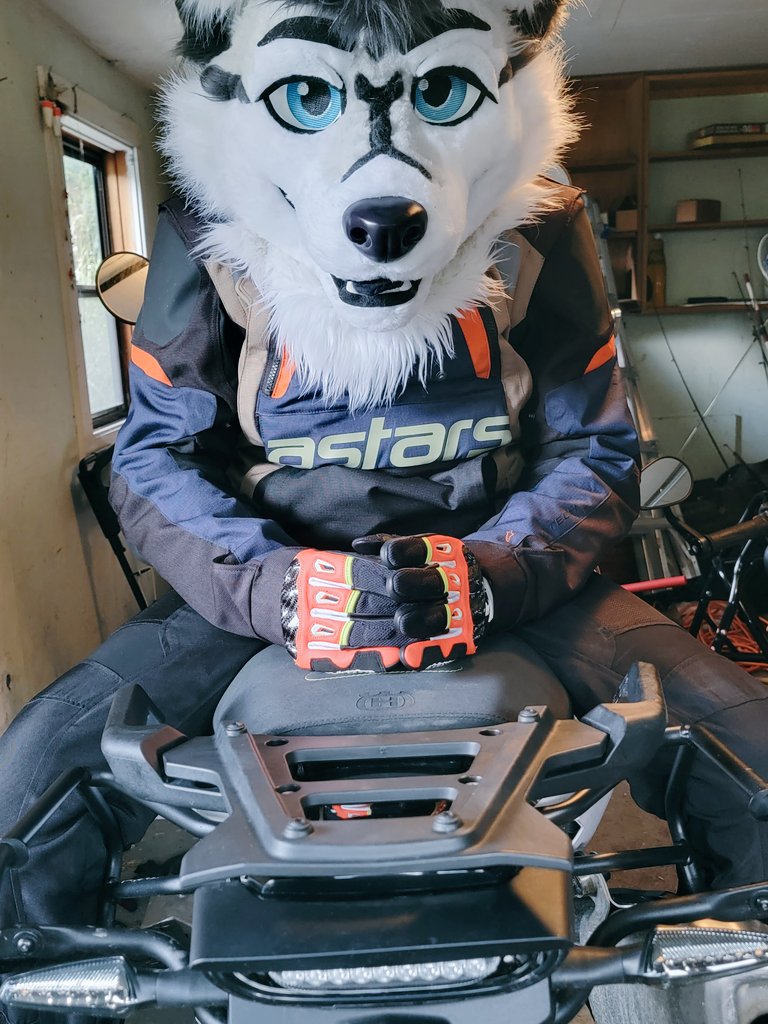 Ryle, back in work jail tweet media