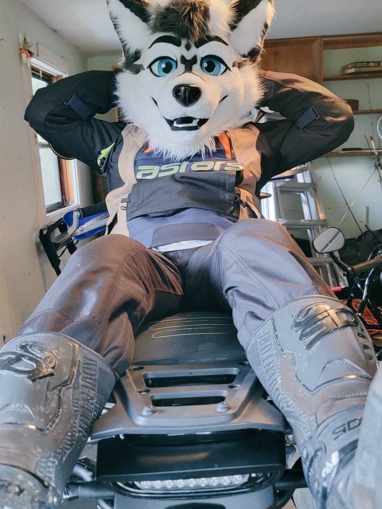 Ryle, back in work jail tweet media