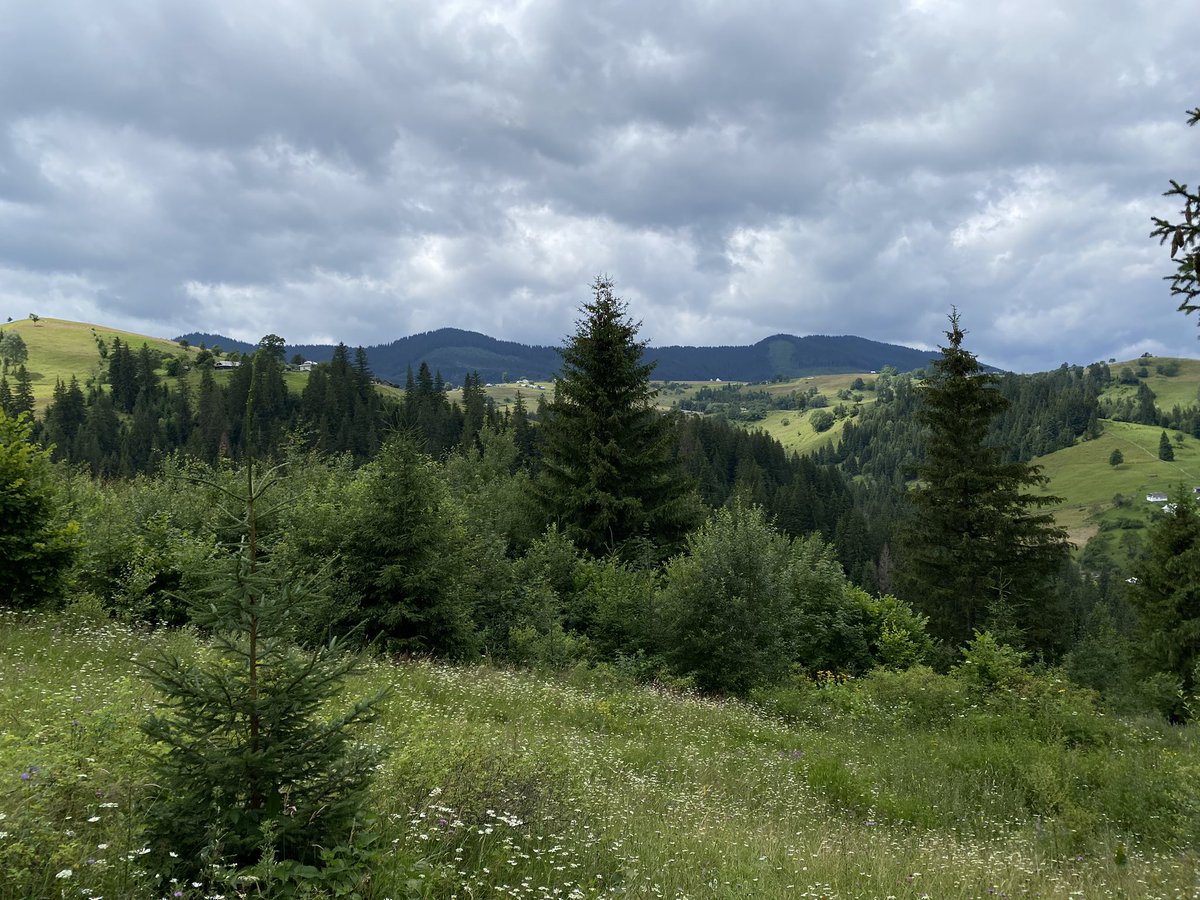 vzdulska (@vzdulska) on Twitter photo 