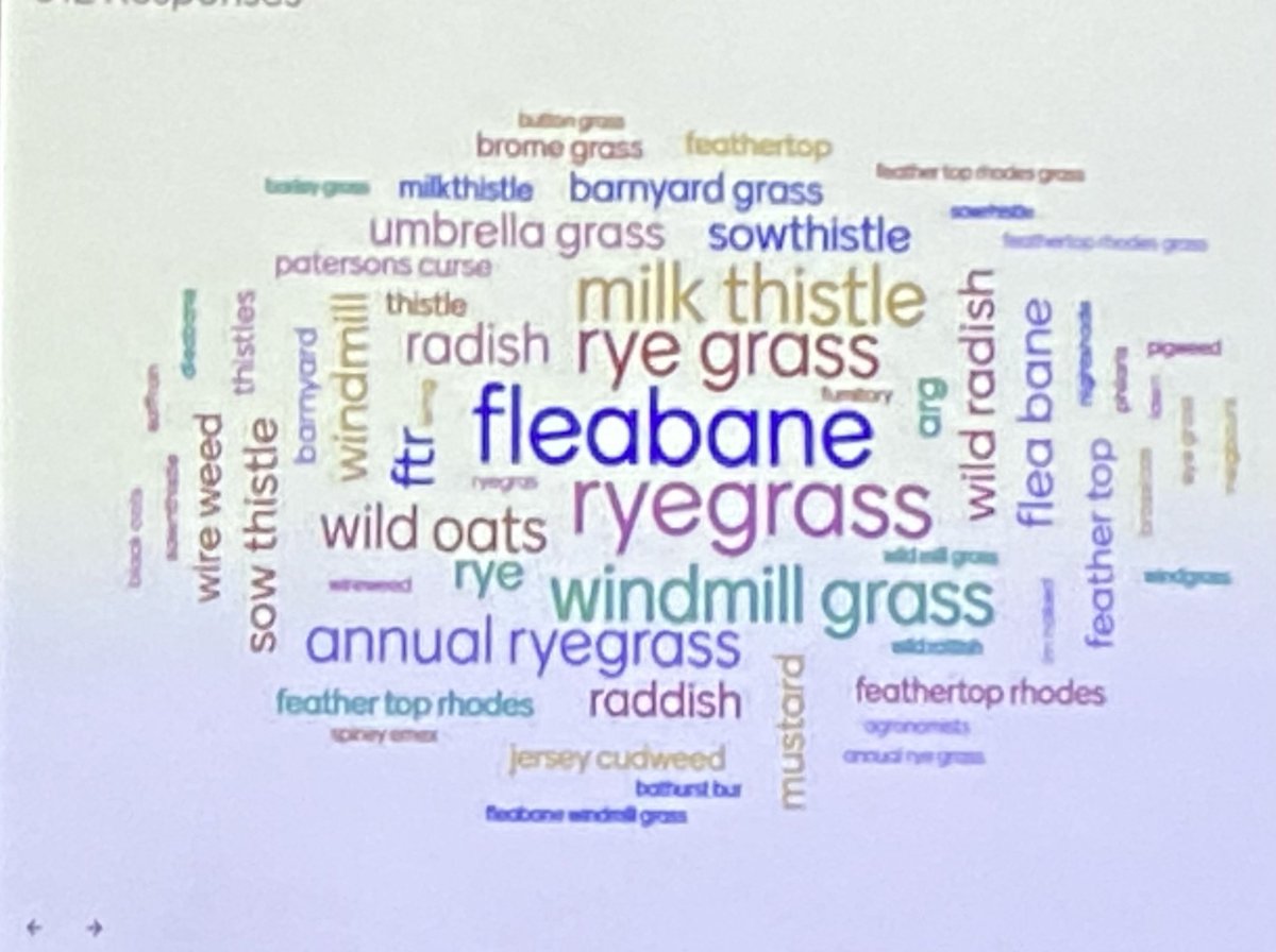So we are off &amp; racing at this years #WeedSmart week in Dubbo. Here’s some of the weeds on concern in our area. 
<a href="/WeedSmartAU/">WeedSmart</a> <a href="/Paul_WeedSmart/">PaulMacWeedsmart-Pulse</a> @grdc <a href="/GRDCNorth/">GRDC North</a>