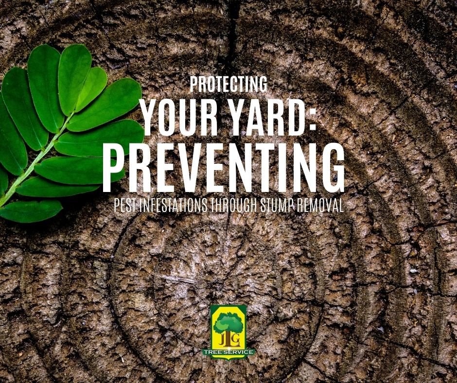 JlgTreeService's tweet photo. Ensure a pest-free environment with proactive stump removal Orange County.

https://t.co/q3z9h9gjJ4

#stumpremovalorangecounty #orangecountytreeservice #orangecountytreeservices https://t.co/mZA3lb9de7