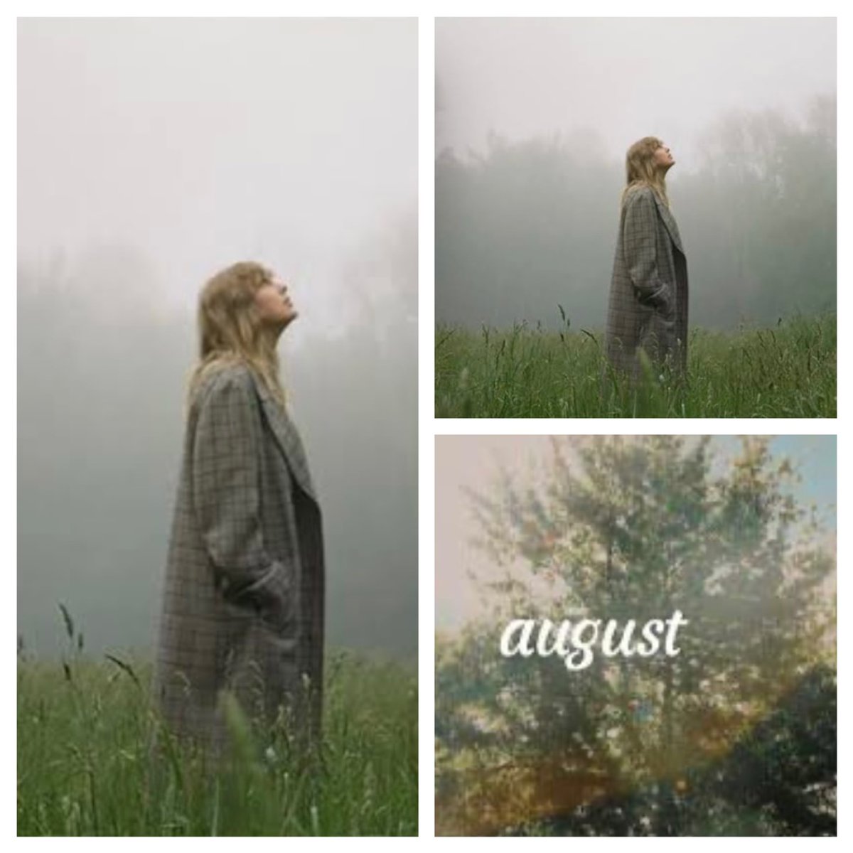 August (Taylor's Version) tweet media