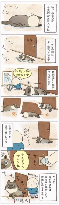 今年の夏はそこがお気に入り? 猫は予想外な場所によく落ちている【連載】ねこ連れ草 289話め|ねこのきもちWEB MAGAZINE 