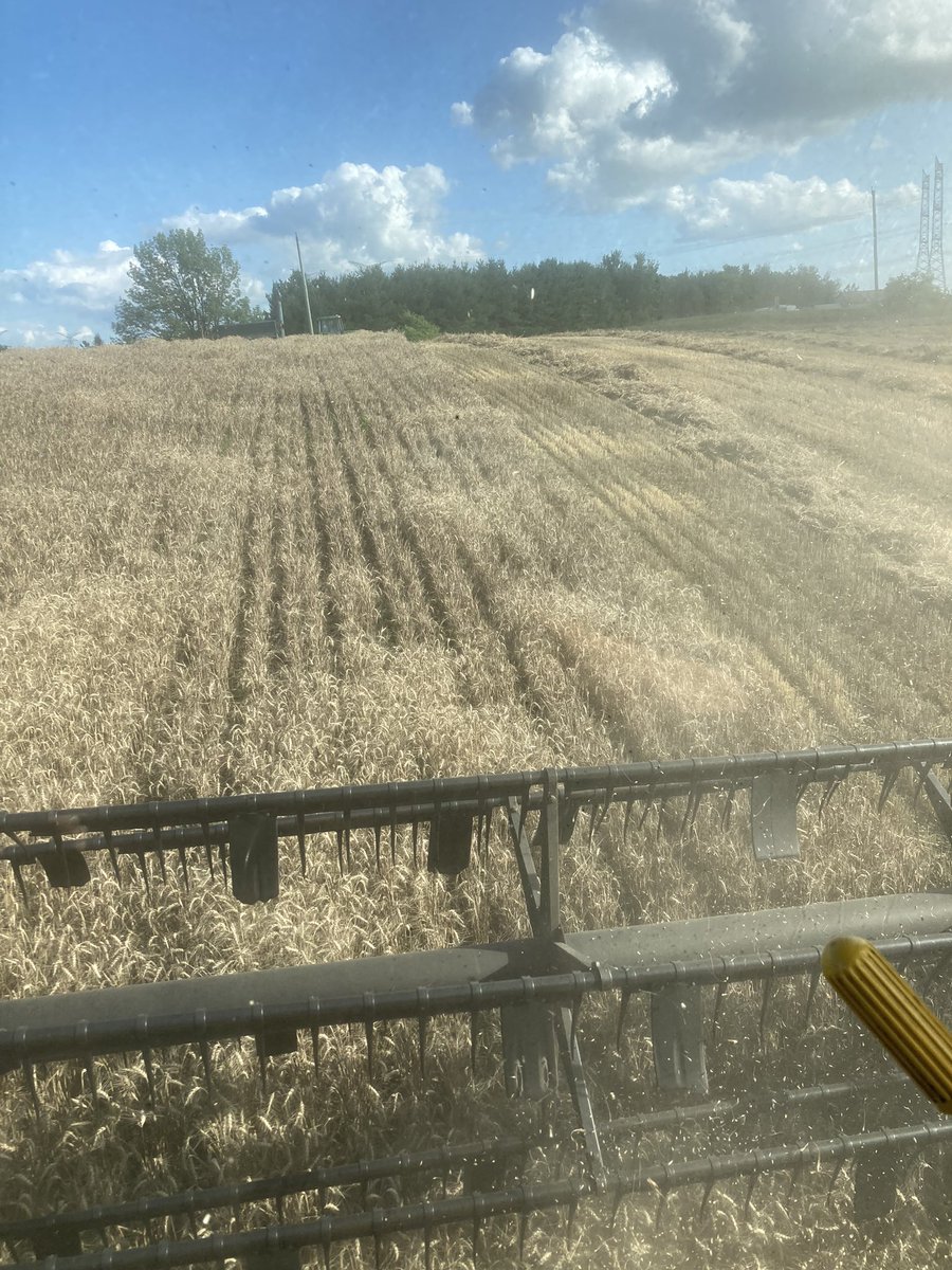 Thomas Lennox tweet media