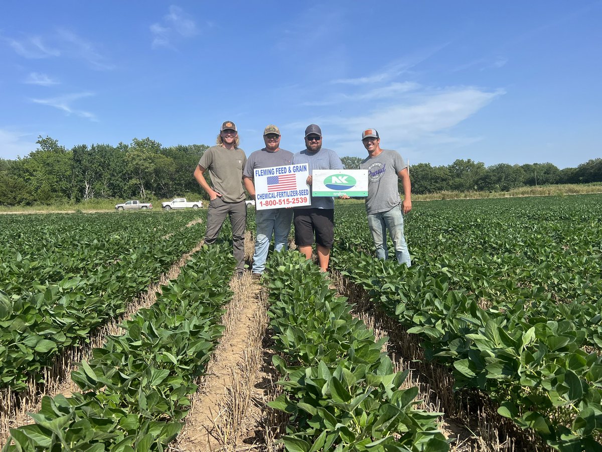 feed_grain's tweet photo. 48H3 NK xfs Double Crop
Wilson County https://t.co/ShvIY0Vrpn