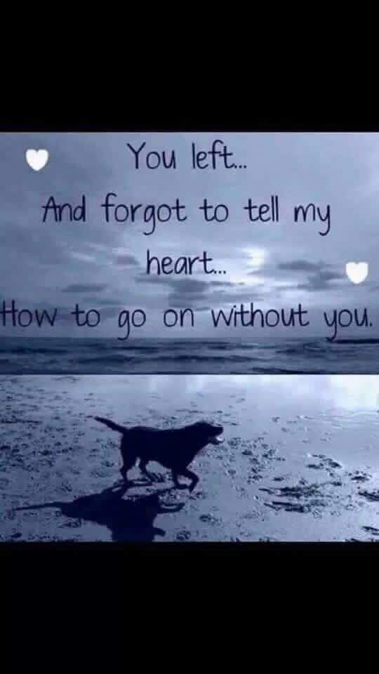 dlp9456's tweet photo. @JPegula So very sorry for your loss.  I know the pain all too well! 🙏🏻 https://t.co/iOW9GSIN68