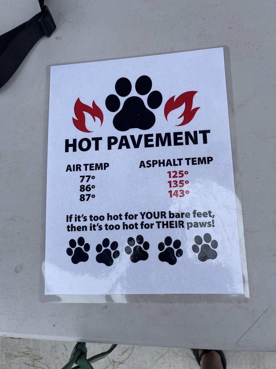 MoontideGal's tweet photo. Saw this at the strike sign in table at #cbsradford 2day🐾 THANK YOU @WGAWest 4 caring about our #picketpups & #strikedogs in the dangerous heat! 🥵 Most days pavement & air is 2 hot for them! #dogs #wgastrike #wgastrong #hotstrikesummer #WritersStrike #SAGAFTRAstrike #SAGAFTRA🐾 https://t.co/wquvsuxzw7