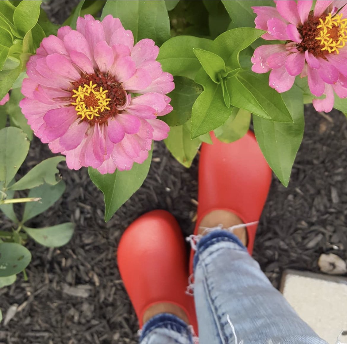 The Right Shoe tweet media