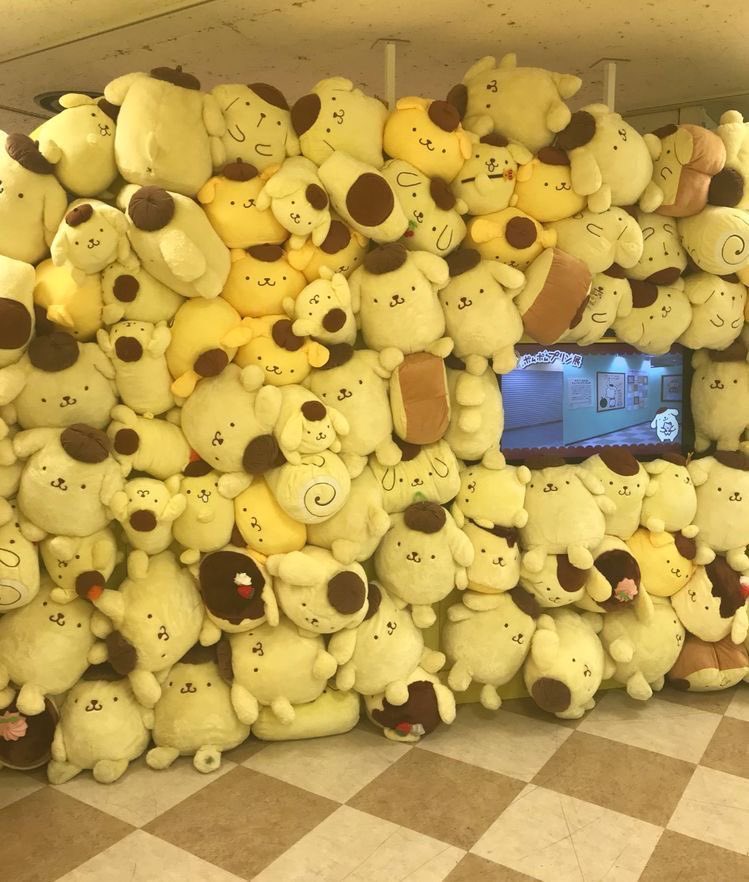 sanriodaily's tweet photo. pompompurin wall 💫 https://t.co/SDkXJoLPil