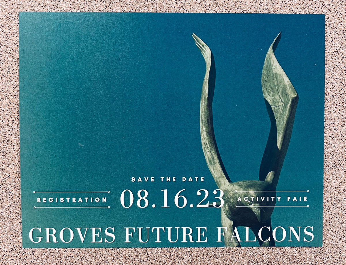 Molly Gezon tweet media