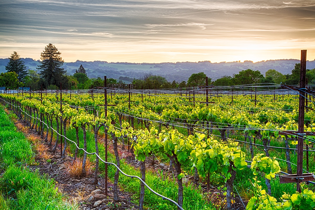 Sonoma County posted an opening - Recruitment Analyst, Health Services - on CALPELRA's Job Board. #publicagencyjobs #governmentjobs #humanresourcesjobs #hrjobs #recruitmentanalyst #recruitmentanalystjobs
bit.ly/JobBdSonomaCoR…