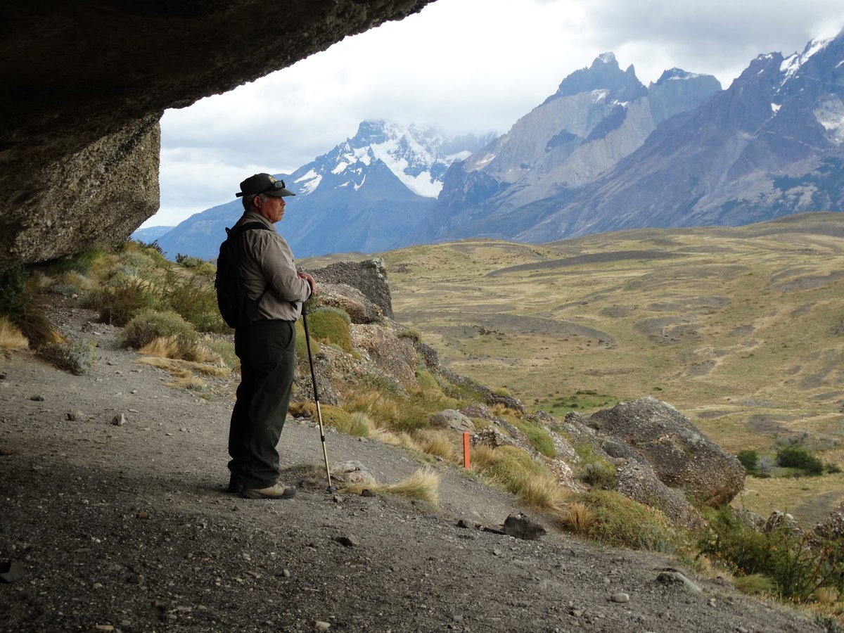 CODEFF Chile tweet media