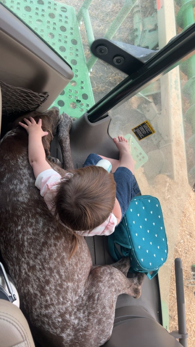 Colten Bodie tweet media