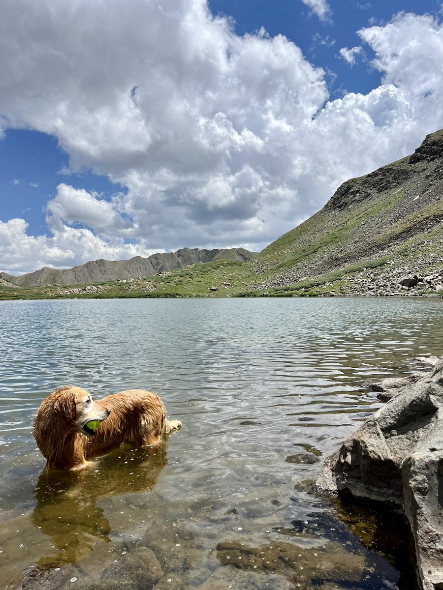 mountain mAndrew tweet media