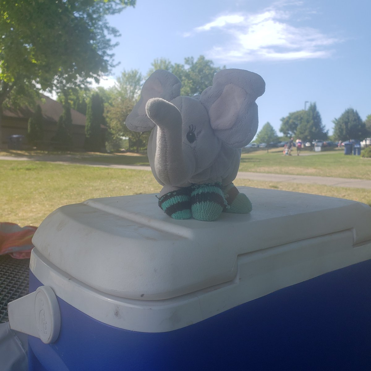 filtheelephant's tweet photo. I am notnsure what I am doing...I guess nothing...#donothing #filtheelephant https://t.co/yTikwAp9s1