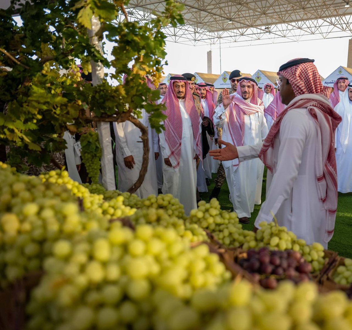 alhawamlah's tweet image. سمو #أمير_القصيم يفتتح مهرجان العنب بالقصيم بمركز البسيتين