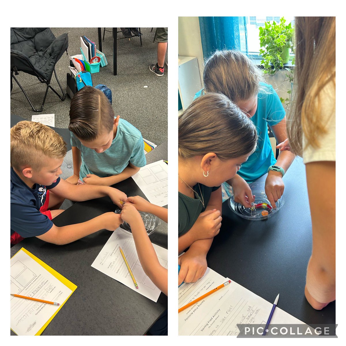 LearnEveryday5's tweet photo. Track 4 in 5th grade @NFP_Elementary had an amazing day today! We worked in teamwork to save Fred the worm! The students used the scientific method to help solve how to get Fred back on his boat wearing his life preserver! https://t.co/cD8O29dyDq