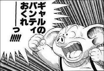 レターボックスで ギャルのパンティ送れは詐欺です