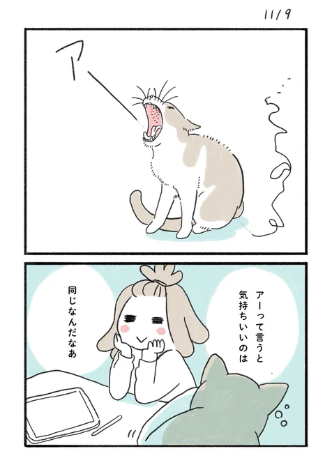 ねこも人間も一緒なのよな