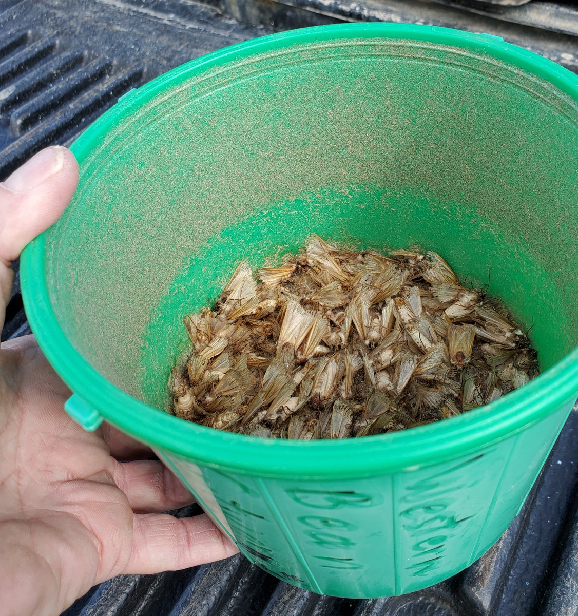 Gilles Quesnel tweet media