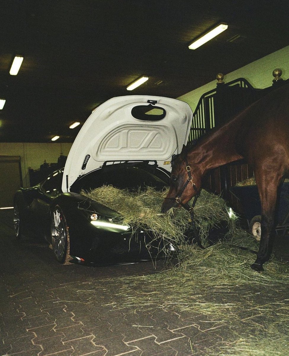van00sa's tweet photo. Some horsepower for the horses https://t.co/dHkb2ZkGyf