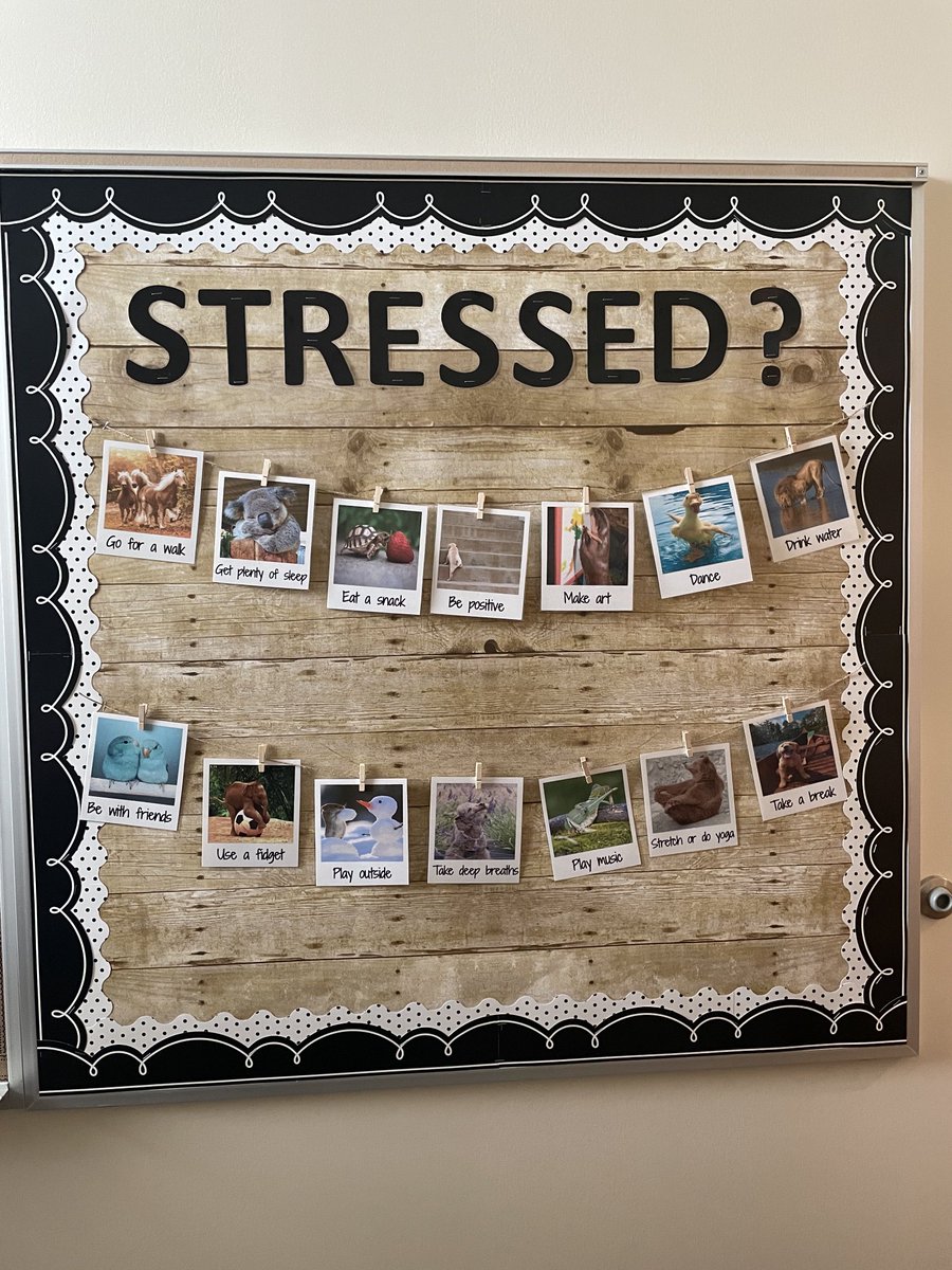 Ashley Halkum tweet media