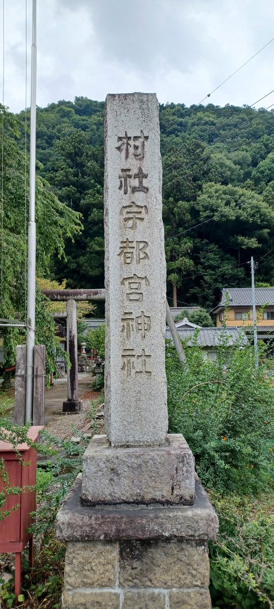 こちらは栃木県佐野市にある
宇都宮神社の御朱印になります！
是非とも参拝してみて下さい🔔
#栃木県　#御朱印　#写真　#神社
↓詳細を書いてありますので是非とも見てみて下さい😸
fanblogs.jp/tddk/archive/1…