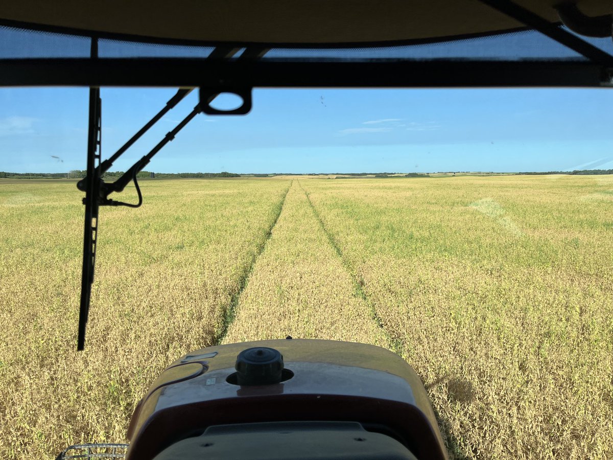 And so it begins #Harvest23