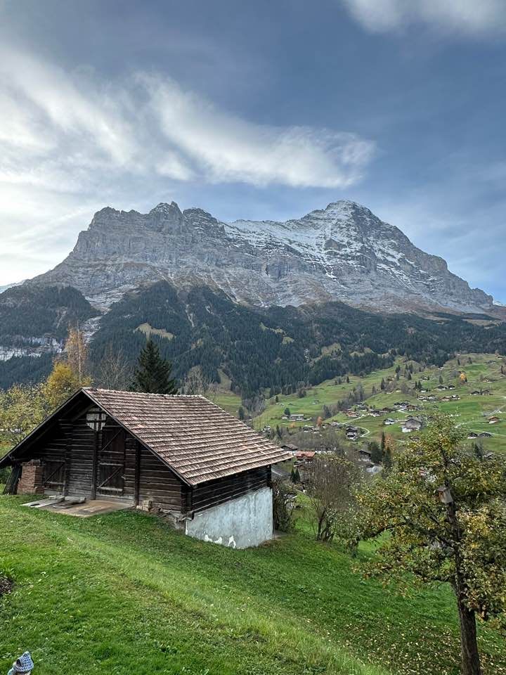 스위스 신혼여행...딸부부^^