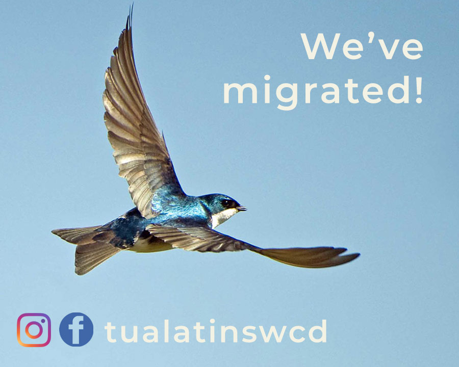 Tualatin SWCD tweet media