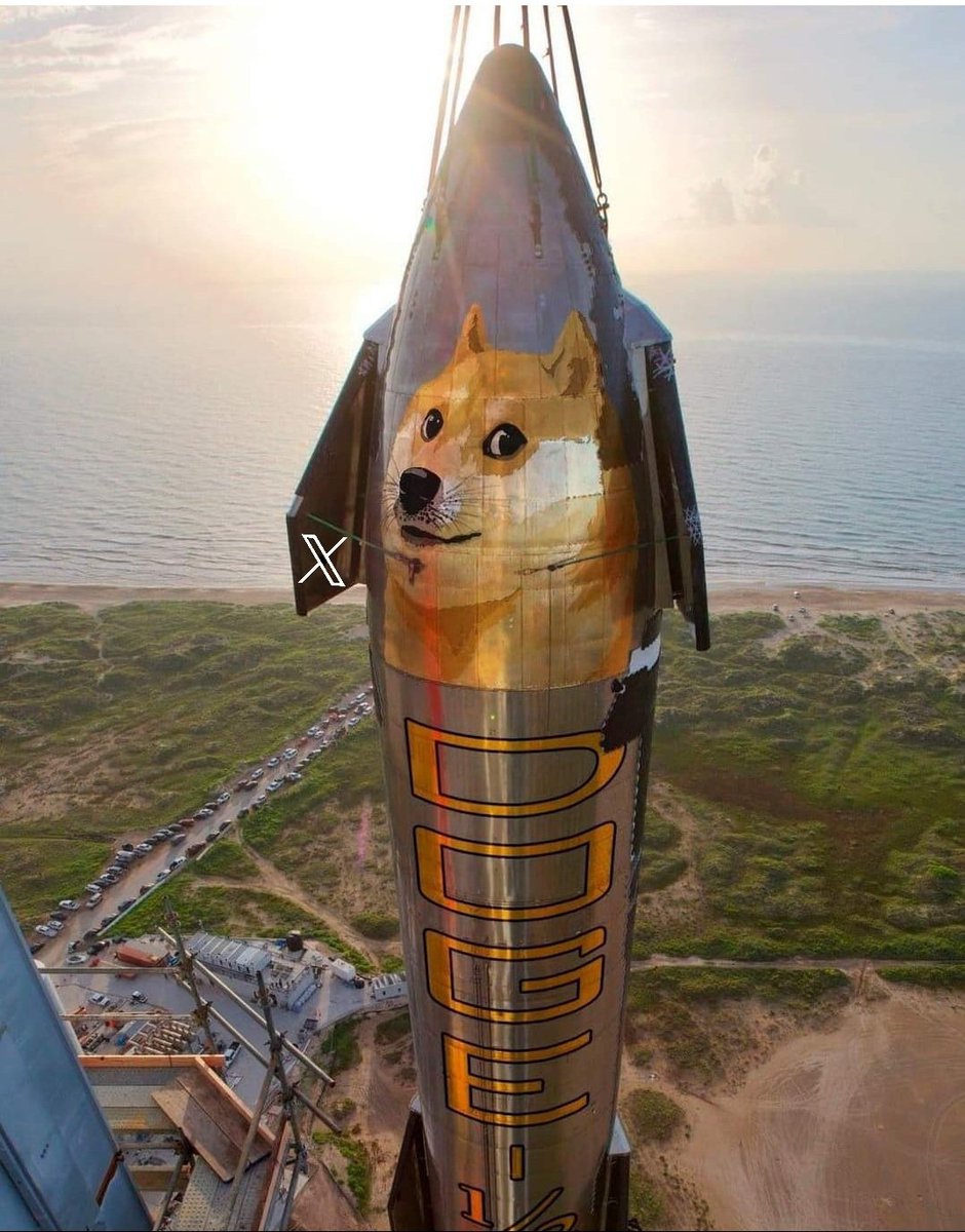 doge_albania's tweet photo. .                               #DOGE-1
                                   🔥🔥🔥 https://t.co/UsfMNwkdpJ
